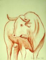 Bull 002 taureau Thierry Bisch artiste peintre animaux tableau art  nature biodiversité conservation 