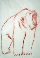 Grizzly peinture-animalière Thierry Bisch artiste peintre animaux tableau art  nature biodiversité conservation 