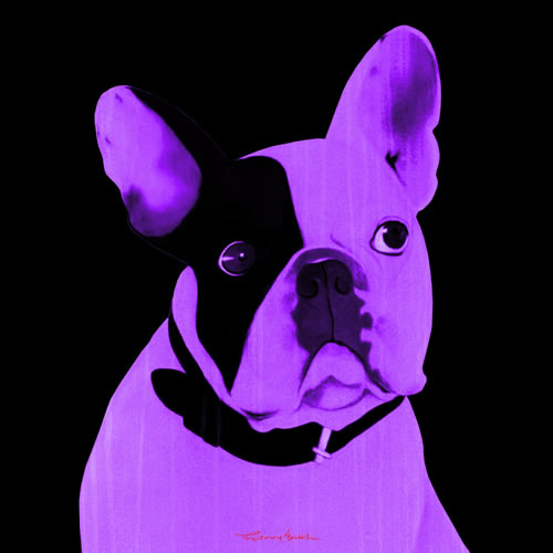 MR CUTE MAUVE french bulldog dog Showroom - Inkjet on plexi, limited editions, numbered and signed. Wildlife painting Art and decoration. Click to select an image, organise your own set, order from the painter on line
