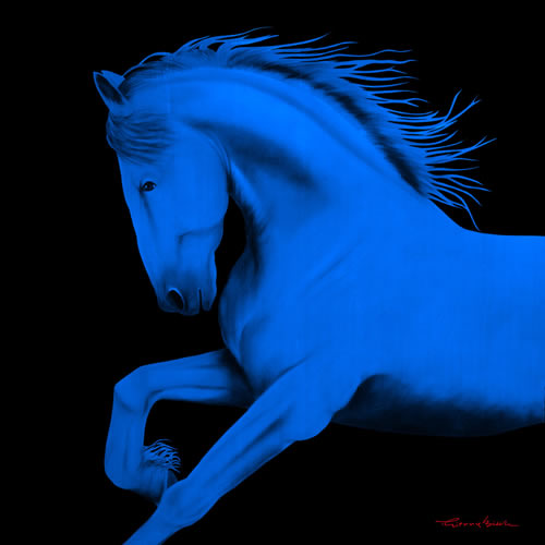 CHEVAL1 BLEU ROI  Horse Showroom - Inkjet on plexi, limited editions, numbered and signed. Wildlife painting Art and decoration. Click to select an image, organise your own set, order from the painter on line