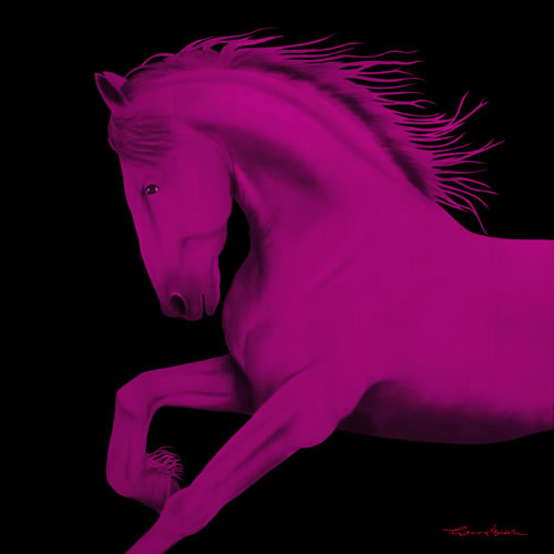 CHEVAL1 FUSHIA  Horse Showroom - Inkjet on plexi, limited editions, numbered and signed. Wildlife painting Art and decoration. Click to select an image, organise your own set, order from the painter on line