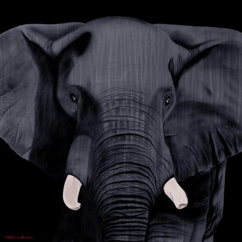 ELEPHANT ANTHRACITE Elephant Showroom - Inkjet on plexi, limited editions, numbered and signed. Wildlife painting Art and decoration. Click to select an image, organise your own set, order from the painter on line