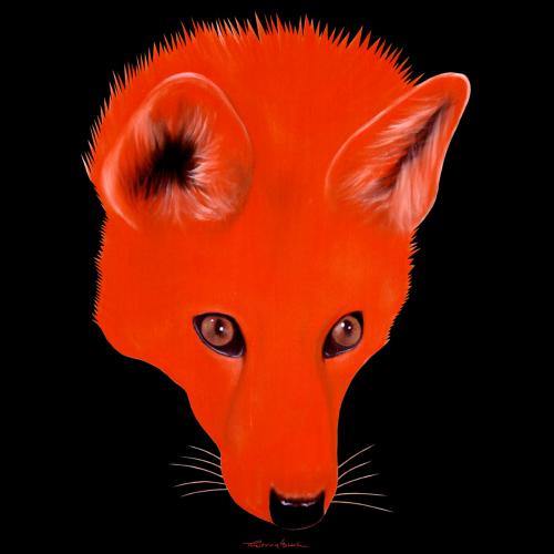 RED FOX fox Showroom - Inkjet on plexi, limited editions, numbered and signed. Wildlife painting Art and decoration. Click to select an image, organise your own set, order from the painter on line