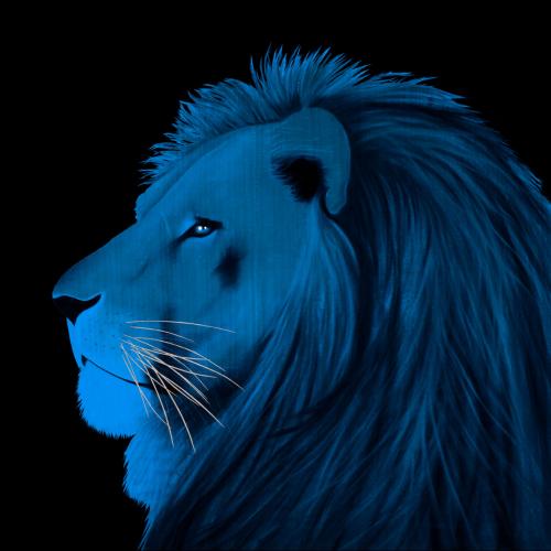 LION BLEU Lion Showroom - Inkjet on plexi, limited editions, numbered and signed. Wildlife painting Art and decoration. Click to select an image, organise your own set, order from the painter on line