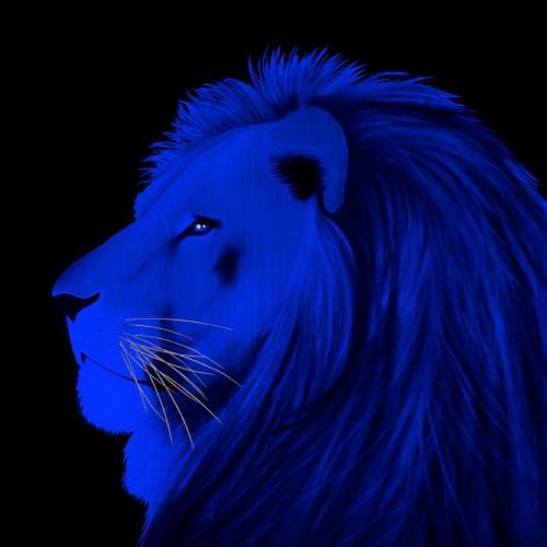 LION ELECTRIC BLUE Lion Showroom - Inkjet on plexi, limited editions, numbered and signed. Wildlife painting Art and decoration. Click to select an image, organise your own set, order from the painter on line