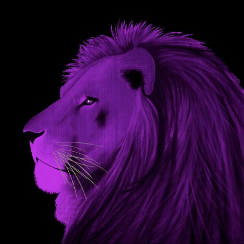 LION VIOLET Lion Showroom - Inkjet on plexi, limited editions, numbered and signed. Wildlife painting Art and decoration. Click to select an image, organise your own set, order from the painter on line