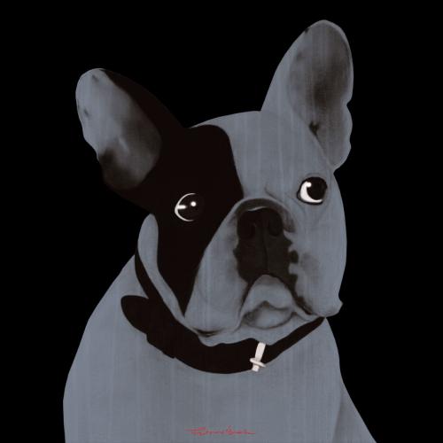 MR CUTE GRIS PERLE french bulldog dog Showroom - Inkjet on plexi, limited editions, numbered and signed. Wildlife painting Art and decoration. Click to select an image, organise your own set, order from the painter on line