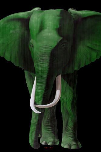 TIMBA CHLOROPHYLLE elephant Showroom - Inkjet on plexi, limited editions, numbered and signed. Wildlife painting Art and decoration. Click to select an image, organise your own set, order from the painter on line