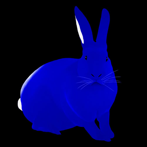 LAPIN Electric blue lapin Showroom - Inkjet sur plexi, éditions limitées, numérotées et signées .Peinture animalière Art et décoration.Images multiples, commandez au peintre Thierry Bisch online
