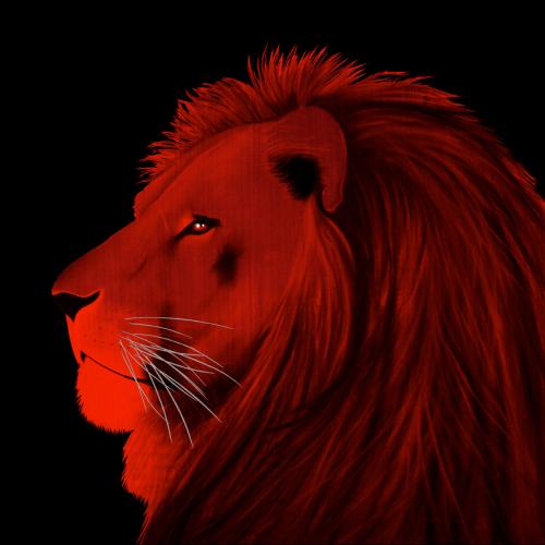 LION ROUGE Lion Showroom - Inkjet sur plexi, éditions limitées, numérotées et signées .Peinture animalière Art et décoration.Images multiples, commandez au peintre Thierry Bisch online