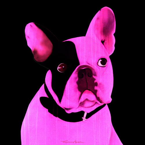 MR CUTE ROSE Bouledogue francais bulldog bulldogue chien Showroom - Inkjet sur plexi, éditions limitées, numérotées et signées .Peinture animalière Art et décoration.Images multiples, commandez au peintre Thierry Bisch online