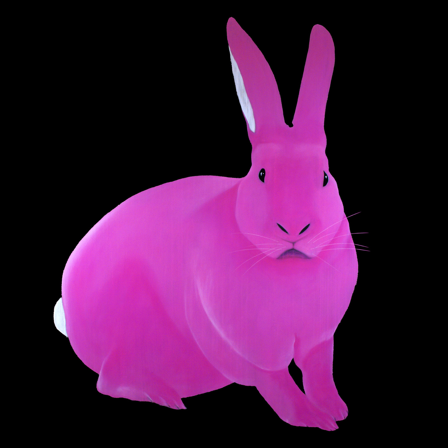 The Pink Rabbit - Thierry Bisch