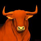 BULL-1-ORANGE BULL 1 VERT bull Showroom - Inkjet on plexi, limited editions, numbered and signed. Wildlife painting Art and decoration. Click to select an image, organise your own set, order from the painter on line