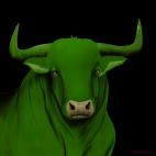 BULL-1-VERT BULL 1 ROUGE bull Showroom - Inkjet on plexi, limited editions, numbered and signed. Wildlife painting Art and decoration. Click to select an image, organise your own set, order from the painter on line