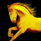 CHEVAL1-GOLD- CHEVAL1 VERDEAU  Horse Showroom - Inkjet on plexi, limited editions, numbered and signed. Wildlife painting Art and decoration. Click to select an image, organise your own set, order from the painter on line