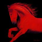 CHEVAL1-ROUGE-1 CHEVAL1 BLEU ROI  Horse Showroom - Inkjet on plexi, limited editions, numbered and signed. Wildlife painting Art and decoration. Click to select an image, organise your own set, order from the painter on line