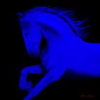 CHEVAL1-ULTRAMARINE- CHEVAL1 BLEU ROI  Horse Showroom - Inkjet on plexi, limited editions, numbered and signed. Wildlife painting Art and decoration. Click to select an image, organise your own set, order from the painter on line
