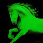 CHEVAL1-VERT-   Animal painting, wildlife painter.Dogs, bears, elephants, bulls on canvas for art and decoration by Thierry Bisch 