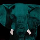 ELEPHANT-BRONZE-2 ELEPHANT MAUVE élephant Showroom - Inkjet sur plexi, éditions limitées, numérotées et signées .Peinture animalière Art et décoration.Images multiples, commandez au peintre Thierry Bisch online
