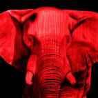 ELEPHANT-ROUGE-2 ELEPHANT BRONZE élephant Showroom - Inkjet sur plexi, éditions limitées, numérotées et signées .Peinture animalière Art et décoration.Images multiples, commandez au peintre Thierry Bisch online