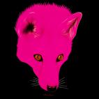PINK-FOX RED FOX fox Showroom - Inkjet on plexi, limited editions, numbered and signed. Wildlife painting Art and decoration. Click to select an image, organise your own set, order from the painter on line
