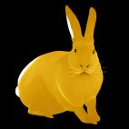 LAPIN-Gold LAPIN Orange  lapin Showroom - Inkjet sur plexi, éditions limitées, numérotées et signées .Peinture animalière Art et décoration.Images multiples, commandez au peintre Thierry Bisch online