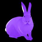 LAPIN-Lavande LAPIN Electric blue rabbit Showroom - Inkjet on plexi, limited editions, numbered and signed. Wildlife painting Art and decoration. Click to select an image, organise your own set, order from the painter on line