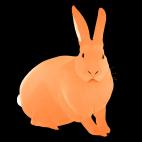 LAPIN-Mandarine LAPIN Gris perle rabbit Showroom - Inkjet on plexi, limited editions, numbered and signed. Wildlife painting Art and decoration. Click to select an image, organise your own set, order from the painter on line