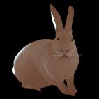 LAPIN-Marron-glace LAPIN Mandarine rabbit Showroom - Inkjet on plexi, limited editions, numbered and signed. Wildlife painting Art and decoration. Click to select an image, organise your own set, order from the painter on line