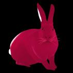 Lapin-Framboise LAPIN Rose rabbit Showroom - Inkjet on plexi, limited editions, numbered and signed. Wildlife painting Art and decoration. Click to select an image, organise your own set, order from the painter on line
