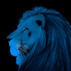 LION-BLEU LION BLEU Lion Showroom - Inkjet on plexi, limited editions, numbered and signed. Wildlife painting Art and decoration. Click to select an image, organise your own set, order from the painter on line