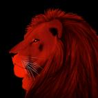 LION-ROUGE LION VIOLET Lion Showroom - Inkjet sur plexi, éditions limitées, numérotées et signées .Peinture animalière Art et décoration.Images multiples, commandez au peintre Thierry Bisch online